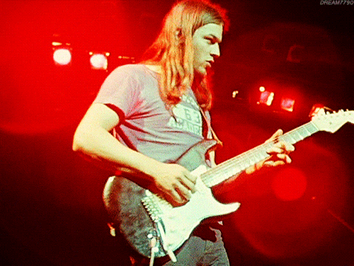 David Gilmour