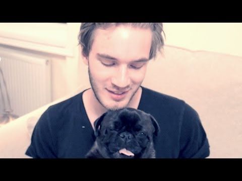 MA NEW DOGE | by PewDiePie :: Edgar Allen Pug...GENIUS name!!!