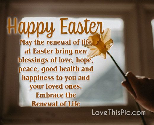 May The Renewal Pictures, Photos, and Images for Facebook, Tumblr, Pinterest, and Twitter