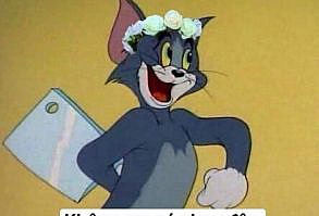 Mình lượm trên cmt fb, ai là người tạo ra meme này cho mình xinh phép ạ