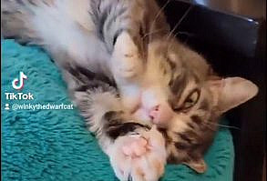 You can't look at me without smiling or having me melt your heart! I do this lil stretch every morning when my mom says hi to me