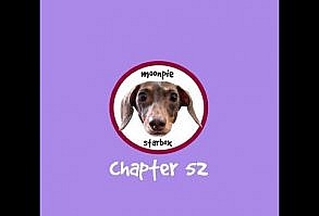 Moonpie Starbox Compilation Chapter 52 - YouTube