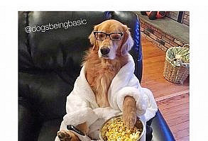 When it's cold out and you just want to chill and enjoy that #cheatmeal #saturdaynight #happy #chill #relax #happy MuscleEgg Egg Whites