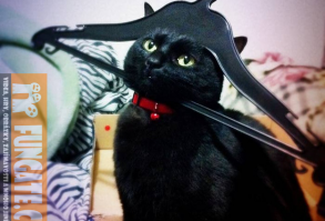 na co cumis jsme pirat