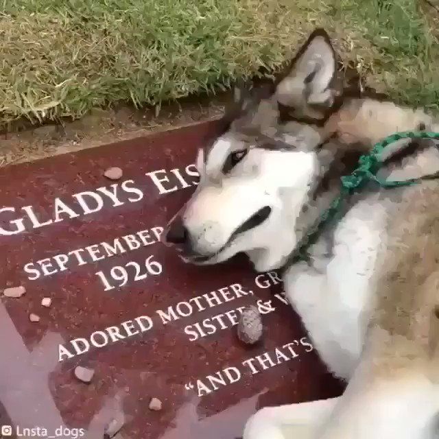 Nature🌿 on Twitter: 