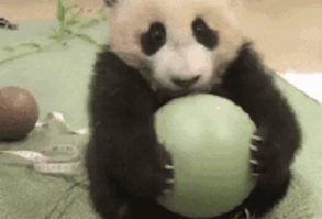 13 Of The Biggest Relationship Deal-Breakers | 13 Of The Biggest Relationship Deal-Breakers