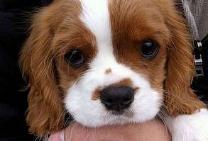 New York Streetstyle 🍎 on Instagram: “Morning😍 @vogue__inspo”