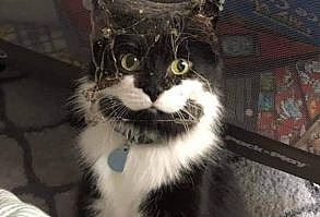 No need to thank me !