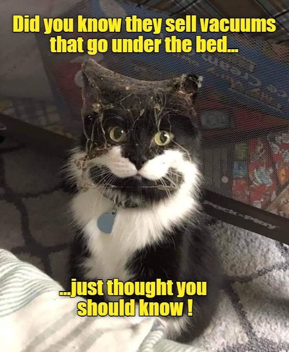 No need to thank me !