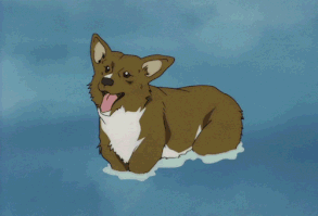 Because I named mine after this