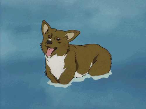 Because I named mine after this