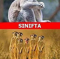 Okulların Açıldığı Günü Birebir Anlatan 23 Caps