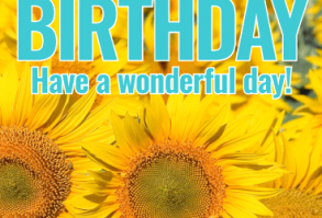 Joyful Sunflower Happy Birthday Card