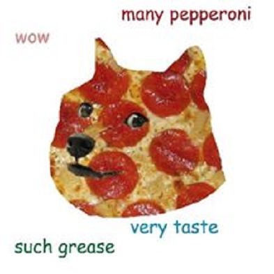 Pizzdoge