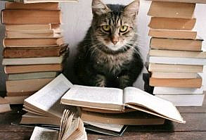 Do you have a cat-themed planner? Are you going to organize your life on Planner Day?