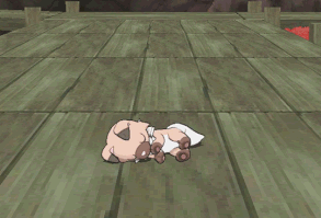 pokemon pokemon go pikachoo follow back pokemon art ash