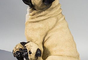 FIGURE PUG DOG FOR GARDEN AND HOME DECORATION 12,2