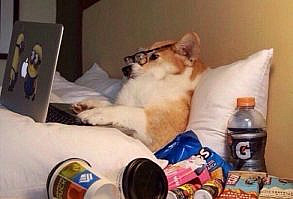 QUE FOFOAAAAAAAAAAAAAAA