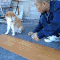 Re-Rankable: The 20 Most Amazing Dog GIFs Of All Time