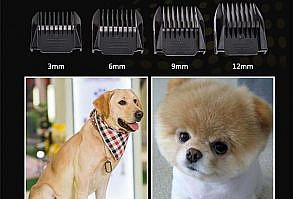 Rechargeable BatteryCharging Time: 6 HourSuit for: Dogs/Cats Voltage: 110 - 240 Volts