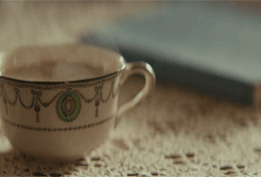 Con un largo historial de sucesos que pueden asegurarle un futuro dev… #fanfic # Fanfic # amreading # books # wattpad