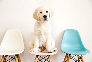 NYMM’s ♛ collection! www.pinterest.com...