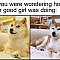 Doge: Image Gallery (List View) | Know Your Meme