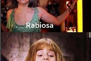 Te retamos a ver estos 20 chistes tontos sin morirte de la risa