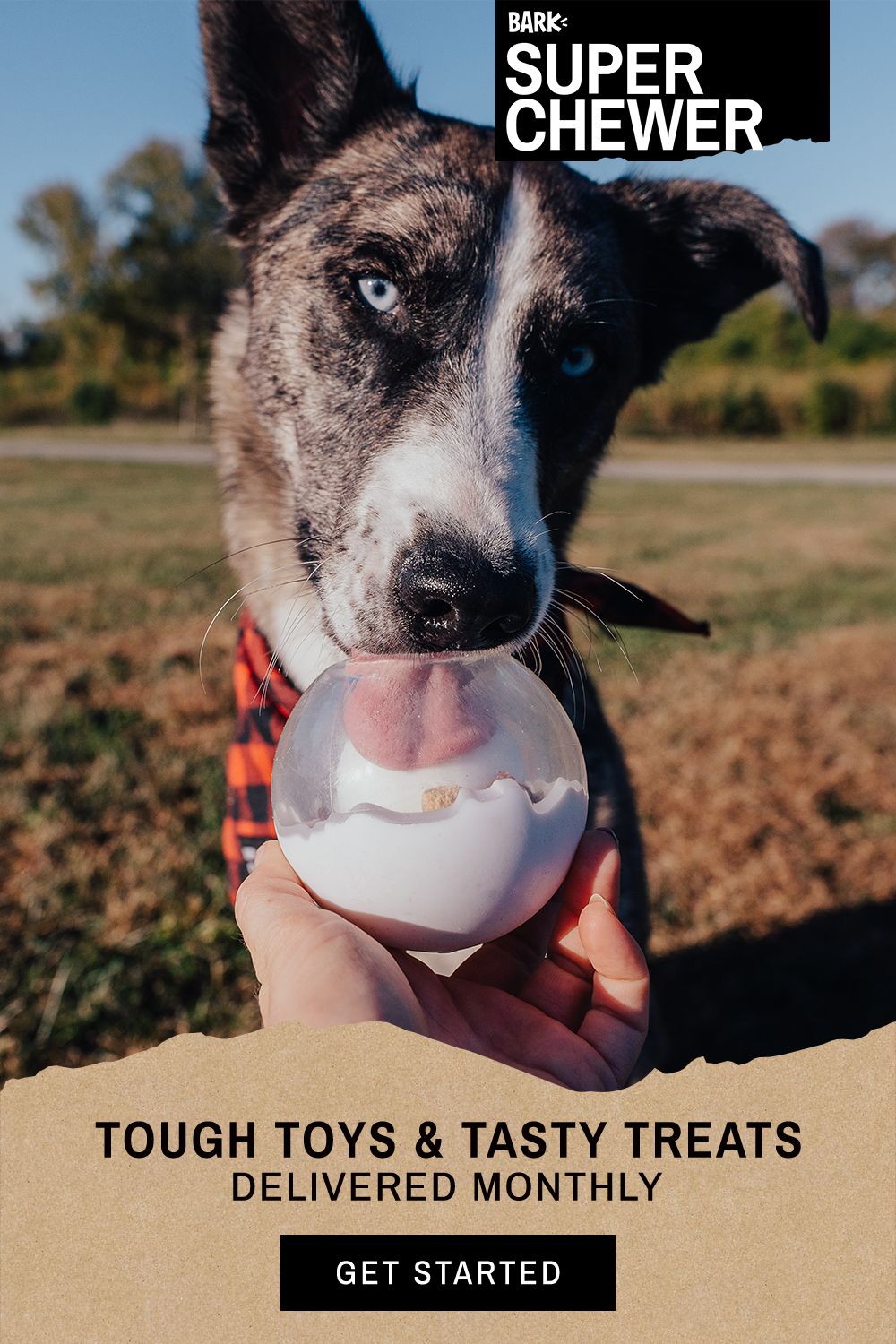 Treat your dog this winter season with 2 toys, 2 treats, & 2 chews delivered monthly. Subscribe now!
