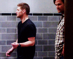 Supernatural Daily - one can never have enough Jensen dancing gifs...