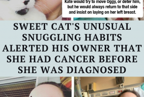 There's no denying that animals are extraordinary creatures. They provide us with unconditional love, loyalty, and are always there when we need them.