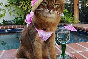 It looks good here, but it didn't work in most of the other photos