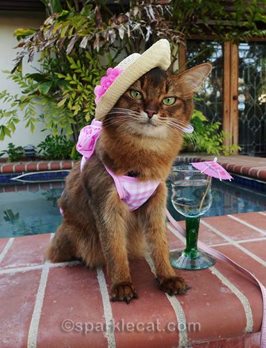 It looks good here, but it didn't work in most of the other photos