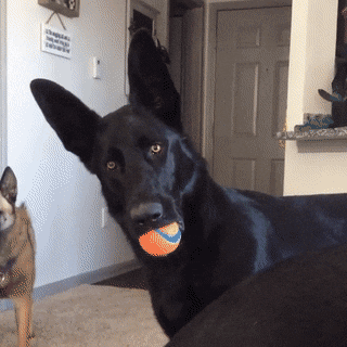 Imgur: The magic of the Internet