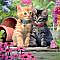 This 750-piece jigsaw puzzle from the Cats Series by Buffalo Games is titled Tabbies. Two cute kittens sit next to each other in this wonderful painted scene. Flowers and greenery surround the two cats that look like they have been getting into some mischief knocking over flower pots.