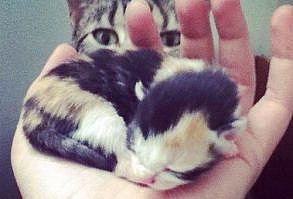 That's Just About Enough of That