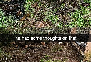 25 Funny And Cute Dog Snapchats That Will Make Your Day (New Pics)