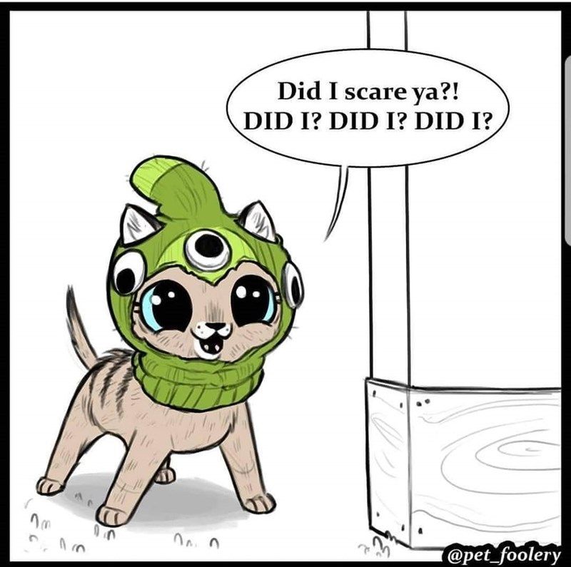 Pixie anxiously asking if she succeeded in scaring Brutus