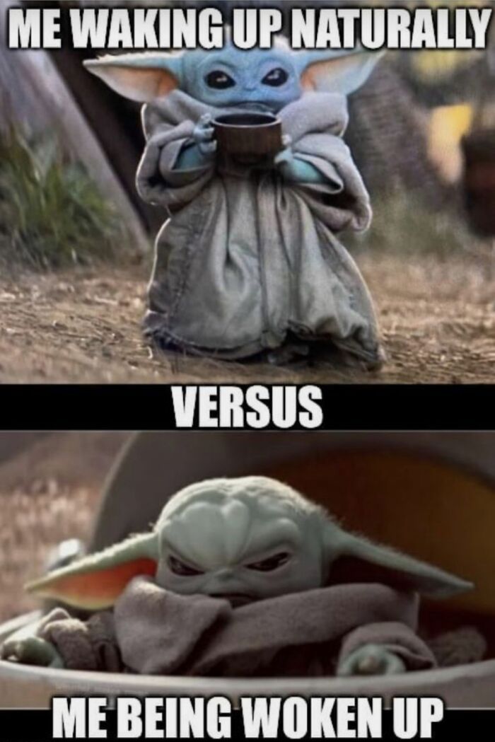 This Is The Most Legit Statement About Me Ever