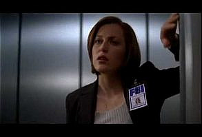 Scully - This Is Why I'm Hot