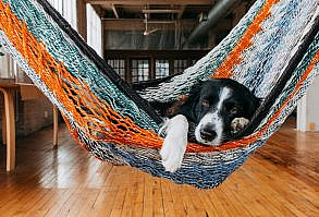 Through the Lens: Canada — Photographer Andrew Knapp (Andy Knapp) - 42 West, the Adorama Learning Center