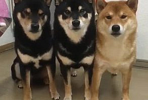 Tío, ¿seguro que has puesto el temporizador de la cámara?