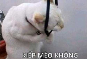 (2) Tôi Sẽ Không Hối Tiếc Vì Anh Đâu – Chap 1 – Vcomycs