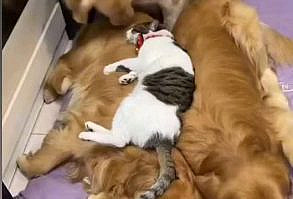 Pin on مرات الحفظ السريع