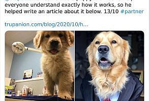 We-Rate-Dogs-Twitter