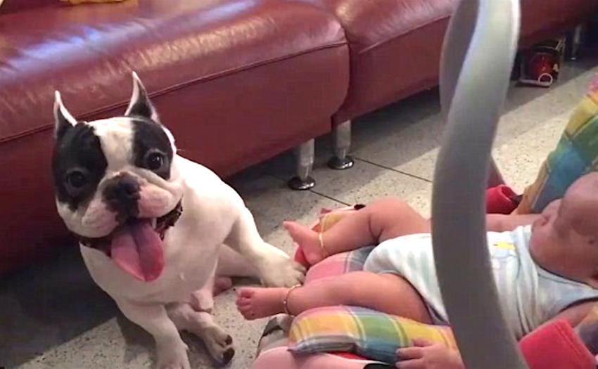 Can you believe this? Oh my!