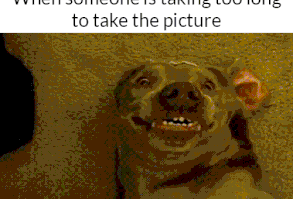 When someone is taking too long to take the pictures funny quotes quote smile picture gif
