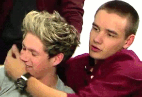 Which Two Members Of One Direction Are Most Likely In A Gay Relationship?