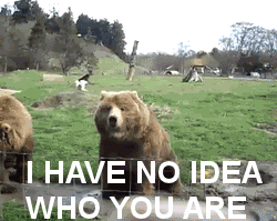 Whoever came up with this caption. | Community Post: 28 GIFs To Make You Happy When You're Feeling Down