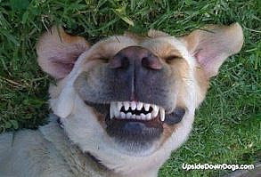 Google Image Result for 3.bp.blogspot.com...